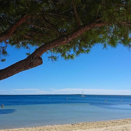 شقة Le Cosy Clermont-lʼHérault المظهر الخارجي الصورة