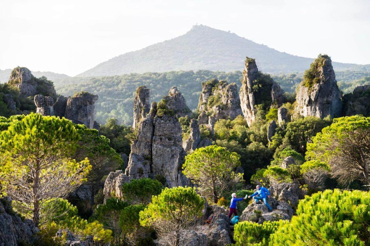 شقة Le Cosy Clermont-lʼHérault المظهر الخارجي الصورة